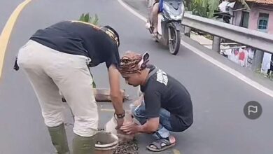 WhatsApp Image 2026 02 21 at 14.18.52