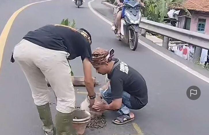 WhatsApp Image 2026 02 21 at 14.18.52