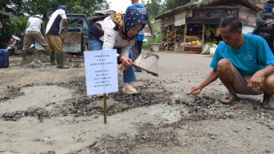 WhatsApp Image 2026 03 02 at 13.33.47