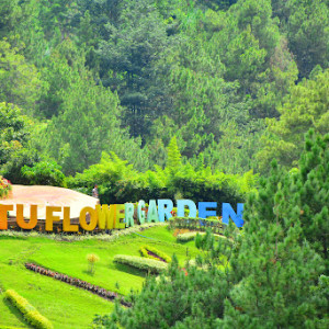 Batu Flower Garden: Keindahan Bunga yang Menakjubkan di Batu, Jawa Timur