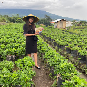 Petik Strawberry Segar di Batu: Petualangan Seru di Kebun Buah!