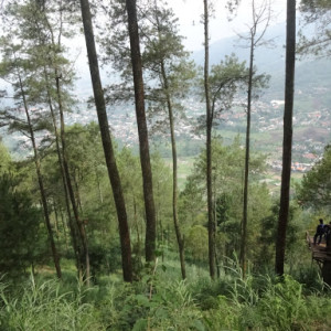 Bukit Banyak: Destinasi Menakjubkan di Batu, Jawa Timur