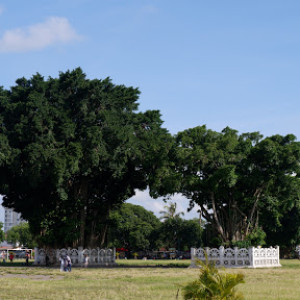 Alun-Alun Kidul Yogyakarta: Hiburan Malam dan Suasana Ceria di Tengah Kota