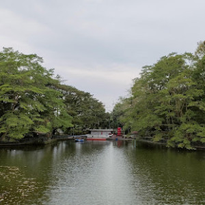 Taman Kearifan UGM: Oasis Edukasi dan Relaksasi di Yogyakarta