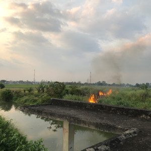 Pleret Gawok: Petualangan Seru di Taman Bermain Sukoharjo