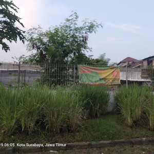 Taman Edukasi Lemongrass Keyva: Petualangan Seru Menjelajahi Alam