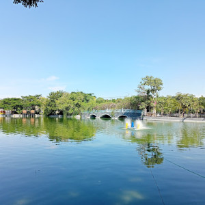 Danau Cinta Unair: Surga Tersembunyi di Tengah Kampus