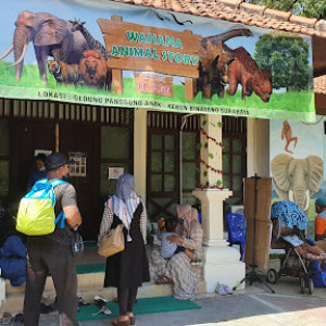 Animal Story KBS Surabaya: Petualangan Menarik di Kebun Binatang