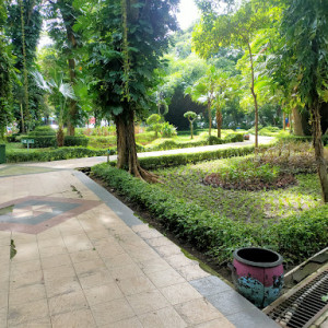 Kebun Bibit Manyar: Oasis Hijau di Tengah Kota Surabaya