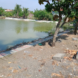 Waduk Made: Pusat Rekreasi dan Sumber Air Bersih di Surabaya