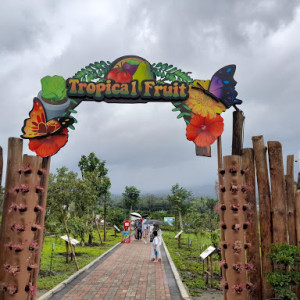 Batu Love Garden (BALOGA): Taman Hiburan Fotogenik di Kota Batu