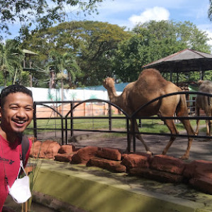 Kids Zoo Surabaya: Petualangan Seru di Kebun Binatang Mini