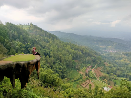 Gussari Goa Pinus Pujon: Petualangan Menakjubkan di Tengah Hutan Pinus