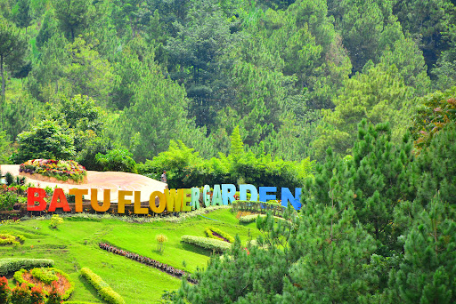 Batu Flower Garden: Keindahan Bunga yang Menakjubkan di Batu, Jawa Timur