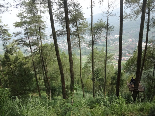 Bukit Banyak: Destinasi Menakjubkan di Batu, Jawa Timur