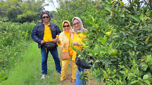 Omah Wisata Batu: Taman yang Menawan di Kota Batu