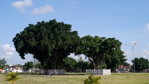 Alun-Alun Kidul Yogyakarta: Hiburan Malam dan Suasana Ceria di Tengah Kota