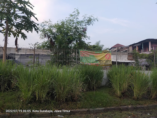 Taman Edukasi Lemongrass Keyva: Petualangan Seru Menjelajahi Alam