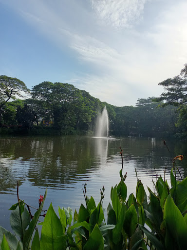 Kebun Bibit Wonorejo: Hutan Kota Surabaya yang Asri dan Menyenangkan