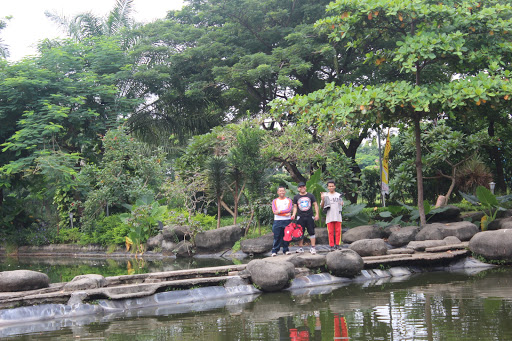 Danau Angsa Pakuwon City: Oase Hijau di Tengah Kota Surabaya