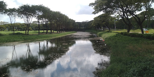 Danau Citraland: Destinasi Renang Menyegarkan di Surabaya