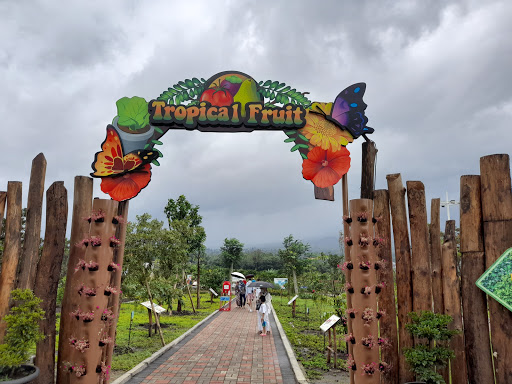 Batu Love Garden (BALOGA): Taman Hiburan Fotogenik di Kota Batu