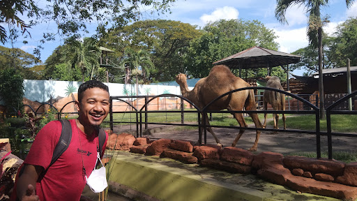 Kids Zoo Surabaya: Petualangan Seru di Kebun Binatang Mini