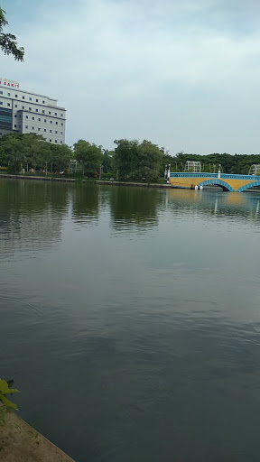 Danau Cinta UNAIR: Surga Tersembunyi untuk Berenang di Surabaya