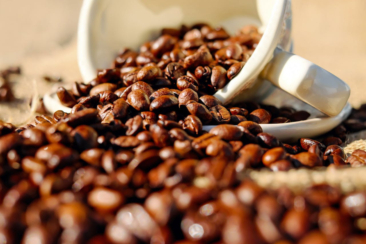 Dunia dalam pahitnya kopi