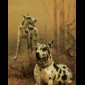 A Pair Of Dalmatians (Sepasang Anjing Dalmatian) | GLOBAL AUCTION