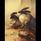 A Pair Of Rabbits (Sepasang Kelinci) | GLOBAL AUCTION