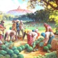 Pardoli Fadli - Fruit Harvest - Borobudur (Panen Buah-borobudur)