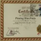 Plowing Rice Fields | GLOBAL AUCTION