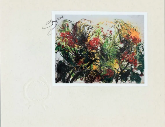 Canna Flowers | GLOBAL AUCTION