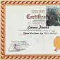 Canna Flowers | GLOBAL AUCTION