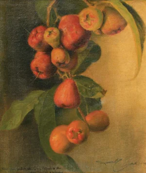 Dullah - Guava (Jambu) Dullah - Guava (Jambu)