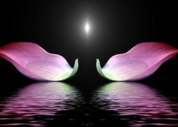 Hòa thượng Thích Giác Quang giải nghi về luật nhân quả và cúng sao giải hạn