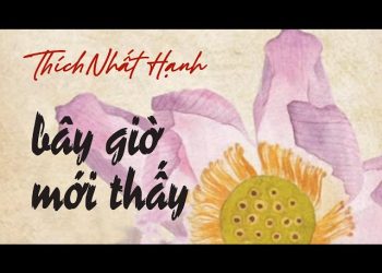 Bây giờ mới thấy