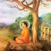 Ngôn ngữ của Thiền và Thi ca