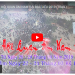 Bạc Liêu: [Video] Trailer Lễ Hội Quan Âm Nam Hải năm 2019