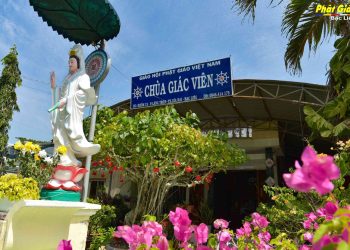 Bạc Liêu: Chùa Giác Viên tổ chức khóa tu một ngày an lạc