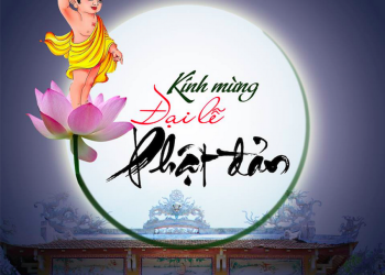 Bạc Liêu: Đoàn Đại biểu Phật giáo Bạc Liêu tham dự Đại lễ Vesak Liên Hợp Quốc 2019