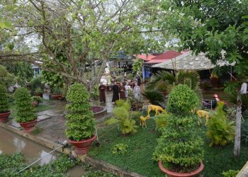 Bạc Liêu: Khóa tu “Búp sen hồng” lần thứ 76 và tổng kết chương trình tu học năm 2019 tại chùa Giác Viên