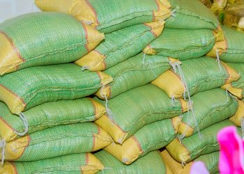 Bạc Liêu: Ban Từ thiện Phật giáo tỉnh trao 300 phần quà nghĩa tình tại Lào Cai