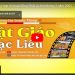 Bạc Liêu: [Video] Tổng hợp tin hoạt động Phật sự tỉnh tháng 3 năm 2021