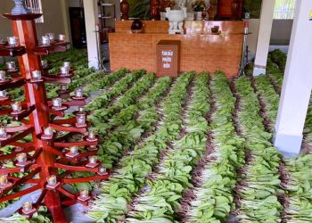 Bạc Liêu: Chùa Bạch Liên hỗ trợ hơn 4 tấn rau xanh cho người dân địa phương