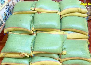 Bạc Liêu: Chùa Bửu Thanh hỗ trợ 1 tấn gạo cho người dân trên địa bàn xã