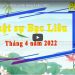 Bạc Liêu: [Video] –  Tổng hợp tin Phật sự tỉnh tháng 4 năm 2022