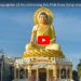 Bạc Liêu: Trang nghiêm Lễ An vị tôn tượng Đức Phật Dược Sư tại chùa Giác Hoa