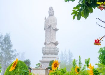Bạc Liêu: Chùa Long Phước chuẩn bị tổ chức Lễ vía Bồ Tát Quán Thế Âm – Pháp hội Đại bi 2 ngày 15-16/9 âm lịch